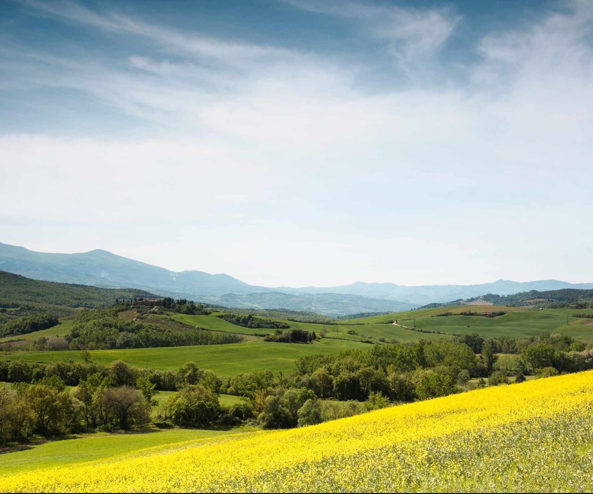 Gelbes Rapsfeld vor grüner Weide und eine Hügellandschaft mit blauem Himmel im Hintergrund
