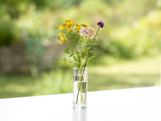 A Frosch Oase glass bottle stands on a table and is filled w