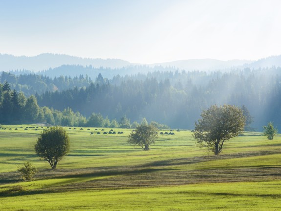 Blick auf eine hügelige Landschaft mit Feldern und Wald unter sonnigem Himmel