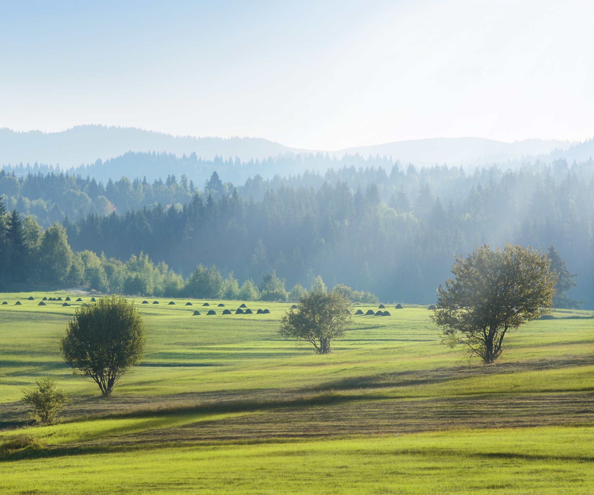View of hilly landscape with fields and forest under sunny sky